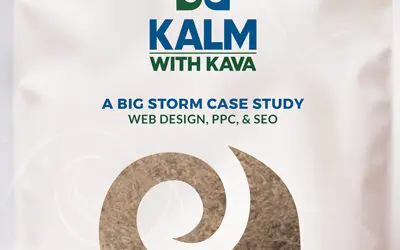 eCommerce Case Study – Kalm with Kava