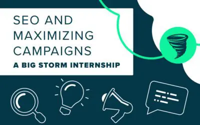 SEO and Maximizing Amazon Ad Campaigns: A Big Storm Internship