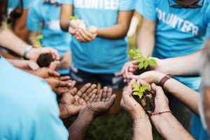 volunteers holding plants