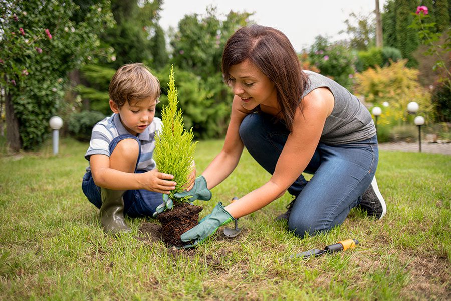 mother and child plant a tree