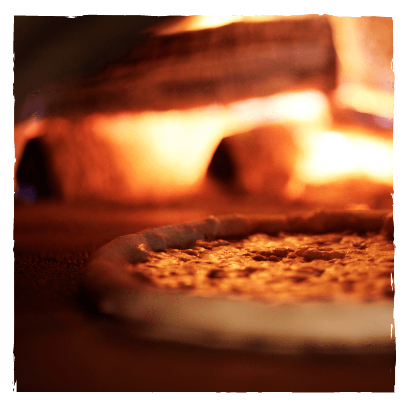 Ugly Onion Brand & Colors