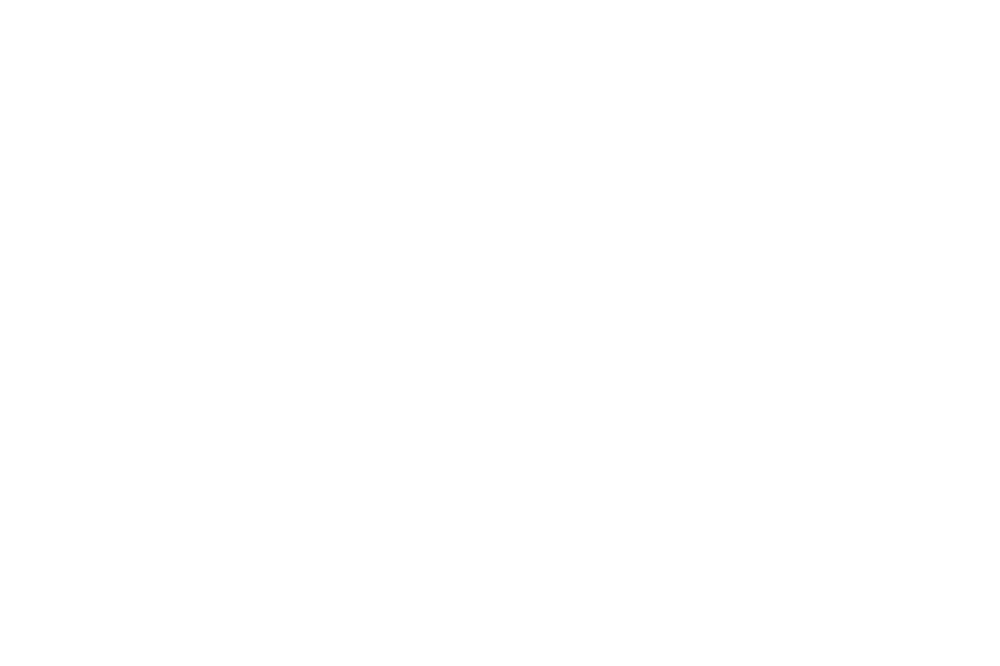 Great Northern Metal Company Logo