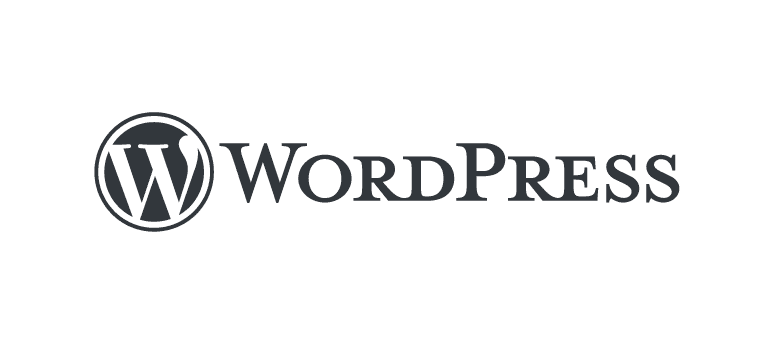 big-storm-wordpress-platform-logo