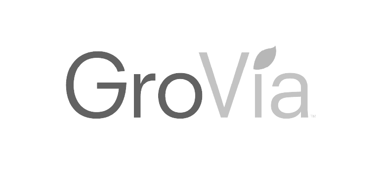 big-storm-grovia-logo